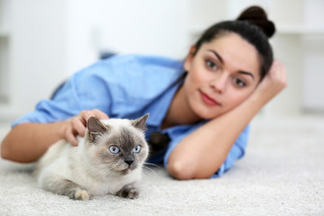 Cute beautiful cat with owner at home