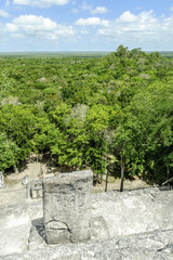 scenery from the summit of the big pyramid in the reservation of the biosphere, national park and archaeological place of Calakmul, Quintana Roo, Mexico