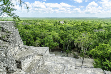 Fototapeta na wymiar sight of the thickness, of the treetops and of other pyramids in the reservation of the biosphere, national park and archaeological place of Calakmul, Quintana Roo, Mexico
