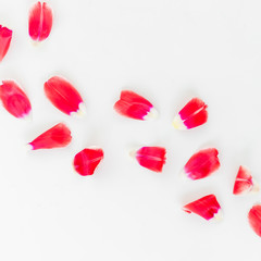 Beatiful red petals on white background. Flat lay, Top view.