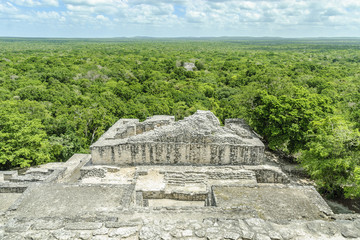 sight of the thickness, of the treetops and of other pyramids in the reservation of the biosphere, national park and archaeological place of Calakmul, Quintana Roo, Mexico