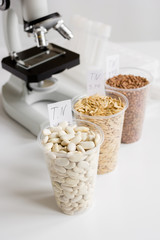 Food quality control in laboratory no one