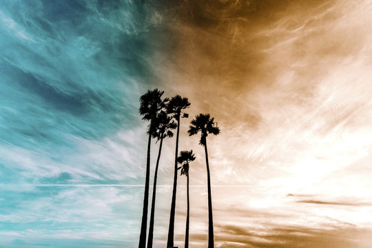 Low angle view of silhouette palm trees against cloudy sky during sunset