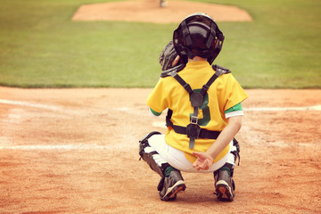 Baseball Catcher