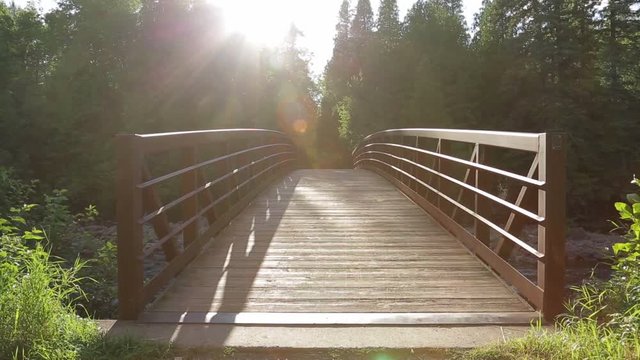 Sunlight shines on a wood bridge in a forest
