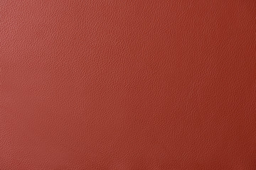 red leather swatch section