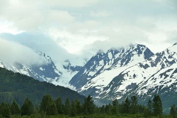 Fototapeta premium as high the clouds