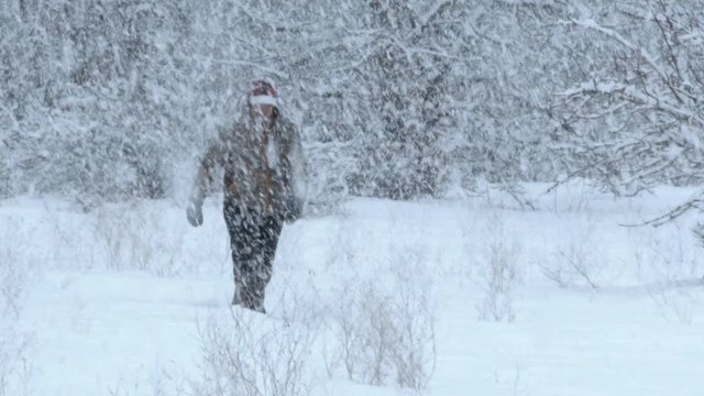 Slow motion of model released man walking through forest in Washington during heavy snowfall in winter.