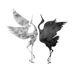 dancing cranes vector