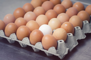 One white egg in the box horizontal