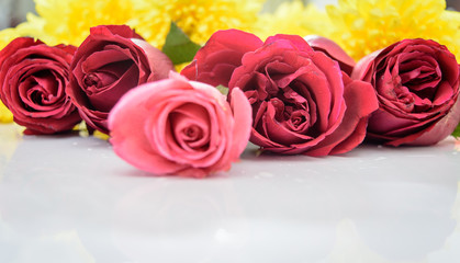 red roses with blurry foreground and blurry background on a white glossy table.