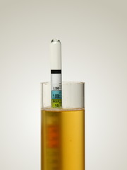 Hydrometer in Homebrew