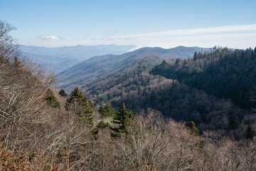 Late fall at the Great Smoky Mountains National Park