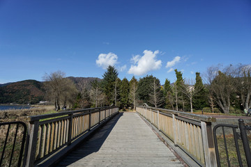 Fototapeta na wymiar wooden walkway in public park