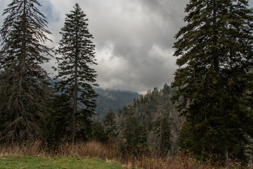 Fototapeta na wymiar Late fall at the Great Smoky Mountains National Park 