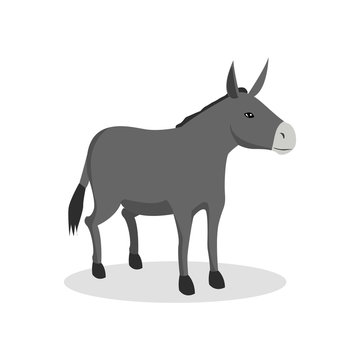 donkey color illustration design