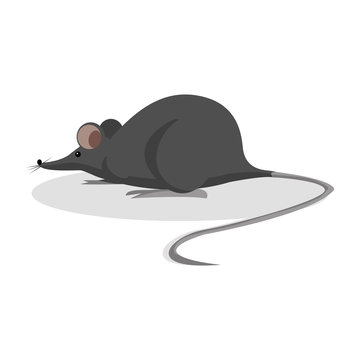 black mouse illustration design