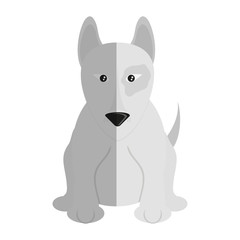 Fototapeta na wymiar dog animal cartoon icon over white background. colorful design. vector illustration