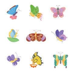 Colorful butterflies vector.