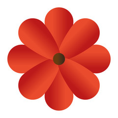 cute flower decorative icon vector illustration design