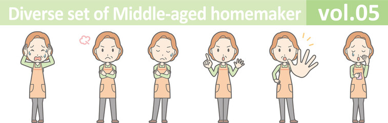 Diverse set of middle-aged homemaker, EPS10 vol.05