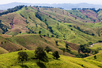 Deforestation for shifting cultivation, the bald mountain in Tha