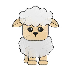 sheep animal cartoon icon over white background. colorful design. vector illustration