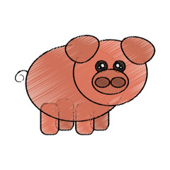 pig animal cartoon icon over white background. colorful design. vector illustration