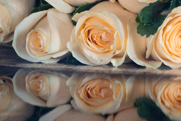 closeup roses bouquet