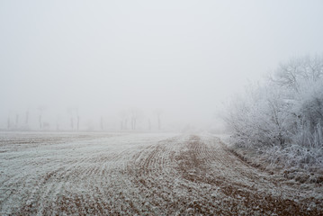 Obraz premium Givre, paysages enneigés