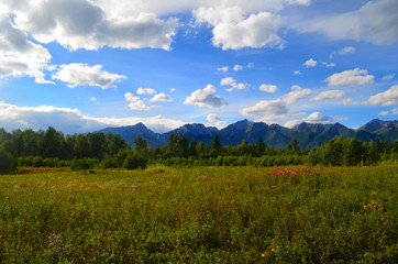 Fototapeta premium The harsh and majestic Sayan mountains.