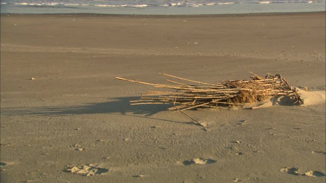 Louisiana coastal erosion to gulf ws