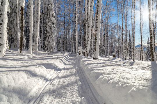 Fototapeta Winter in the mountains