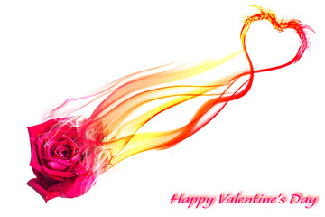 pink rose and smoke heart in valentine's day