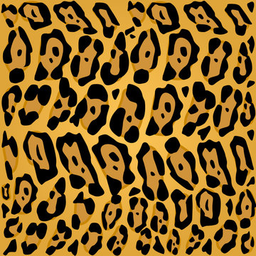 Leopard. Background leopard. Black spots on an white background. Repeating pattern seamless. Imitation leopard print on paper, fabric.