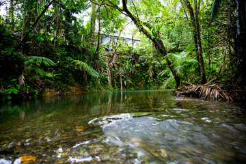 Naklejka na ściany i meble Daintree Rainforest River