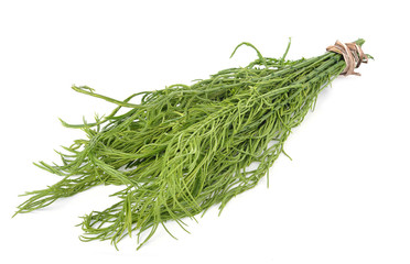 Climbing wattle,cha-om on white background