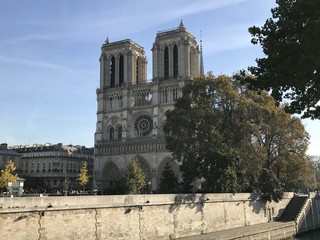 Fototapeta na wymiar Cathedral Notre Dame de Paris in autumn