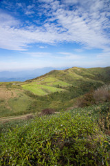 Fototapeta premium 大川嶺からの景色（愛媛）