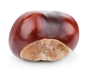 One chestnut isolated on white background with clipping path