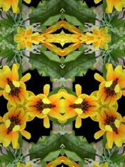 Kaleidoscope pattern background of yellow flower