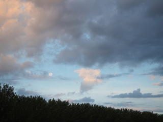 Picture of the sunset cloudy sky over the green top of the trees. Background of the sunset sky and top of the green trees.