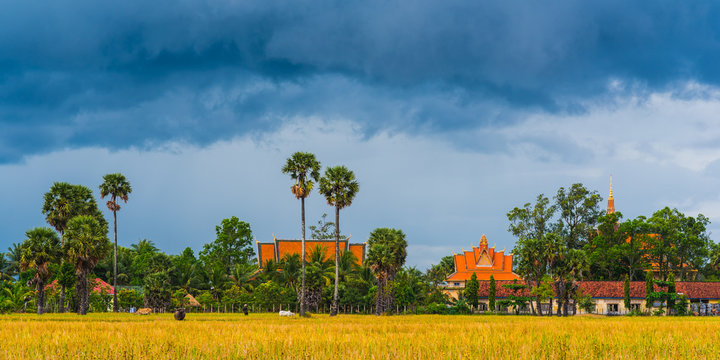 Cambodia scenery: Buddhist monastery, palm trees (Borassus flabellifer), harvested yellow rice field in the foreground. Dark clouds above - heavy rain coming. Kampot, Cambodia. Panorama, 1x2