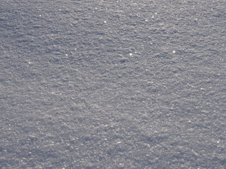 粉雪の表面