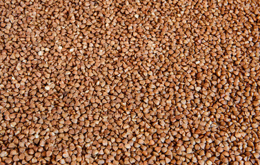 Buckwheat background