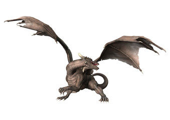 Fototapeta premium 3D Rendering Fantasy Dragon on White
