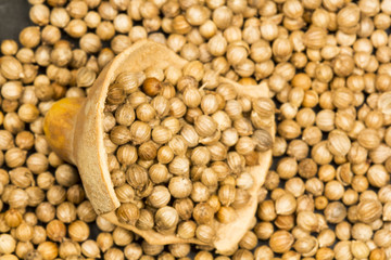 Coriander seeds with pumpkin shell