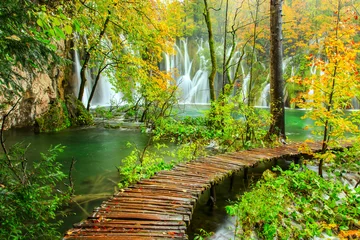 Foto op Plexiglas Wooden tourist path in Plitvice lakes national park © Kavita