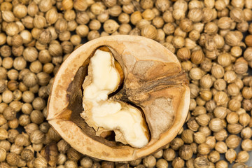 Coriander seeds with walnut halves