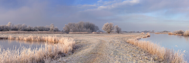 Frozen landscape in The Netherlands in early morning sunlight